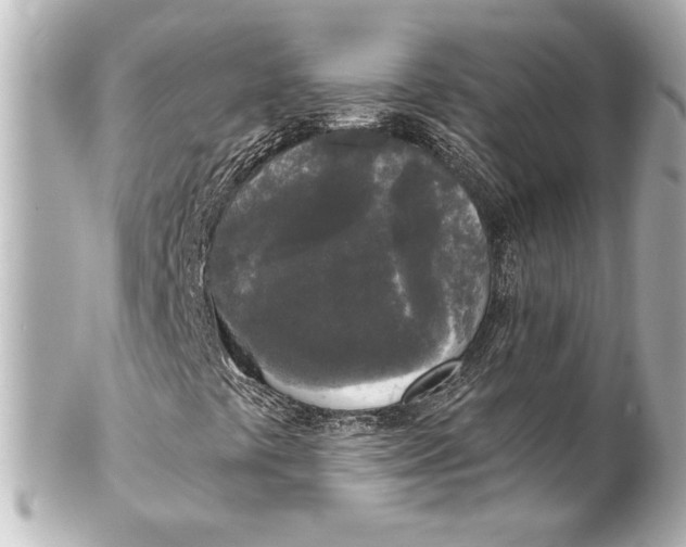 X0000101461441200808041031