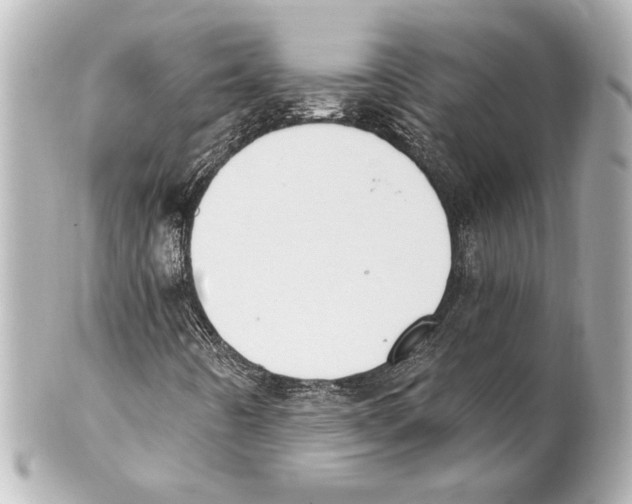 X0000101461442200808041031