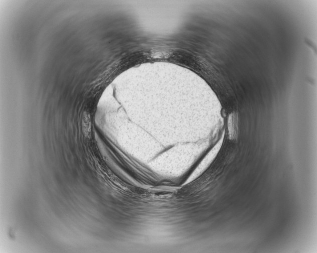 X0000101461443200808041031