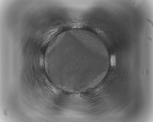 X0000101461444200808041031