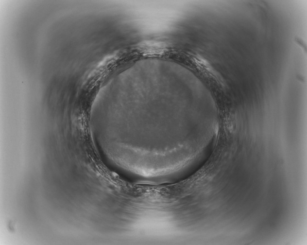 X0000101461445200808041031