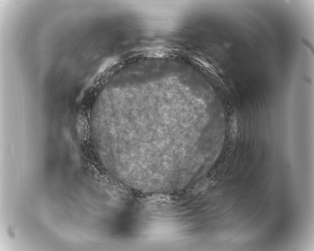 X0000101461446200808041031