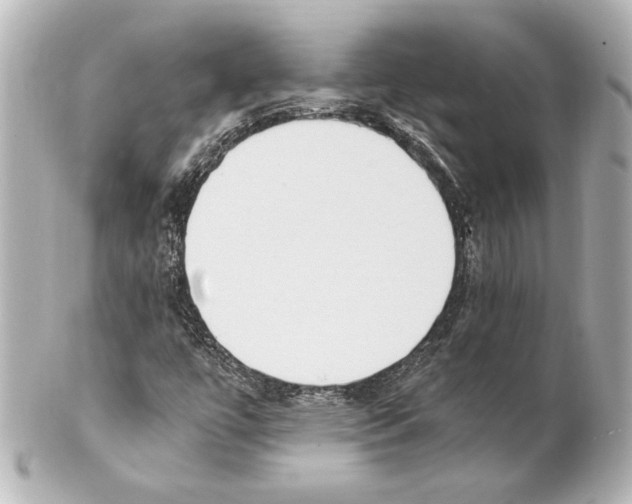 X0000101461447200808041031