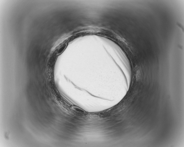 X0000101461448200808041031