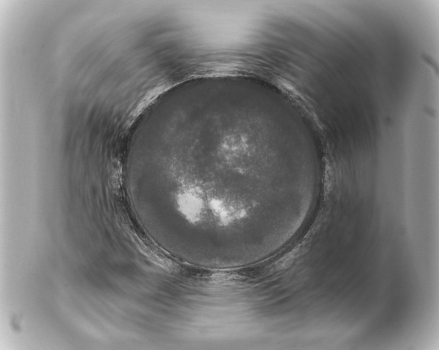 X0000101461449200808041031