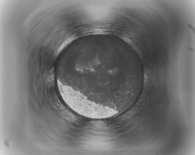 X0000101461450200808041031