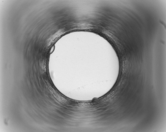 X0000101461451200808041031