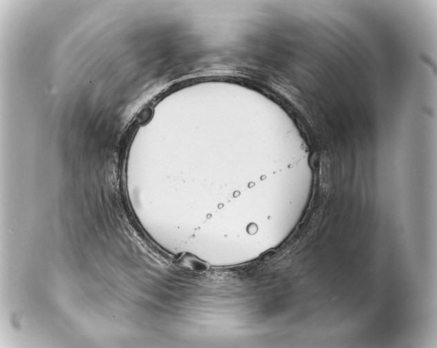 X0000101461452200808041031