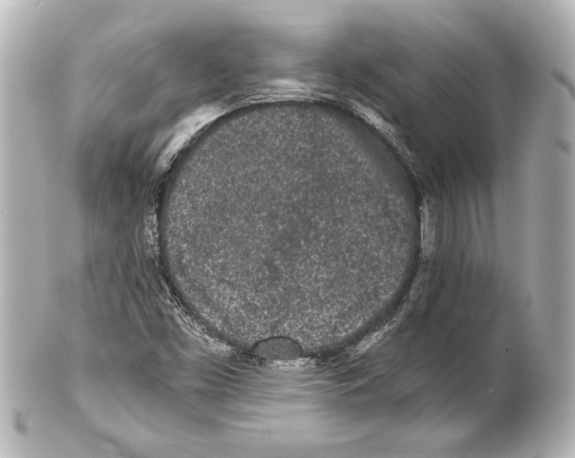 X0000101461453200808041031