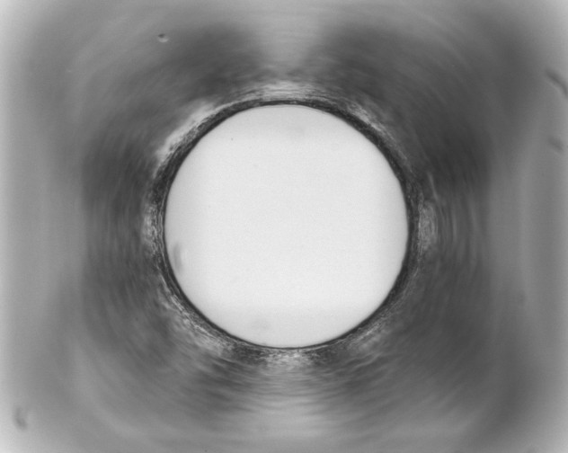 X0000101461454200808041030