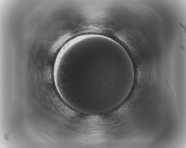 X0000101461455200808041030