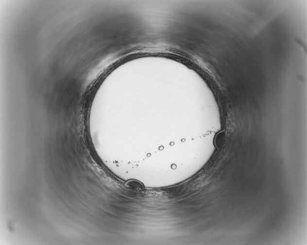 X0000101461456200808041030