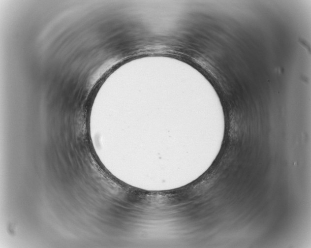 X0000101461458200808041030