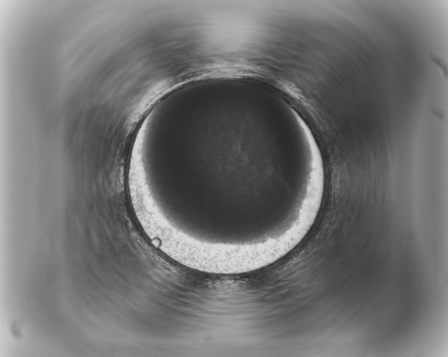 X0000101461459200808041030