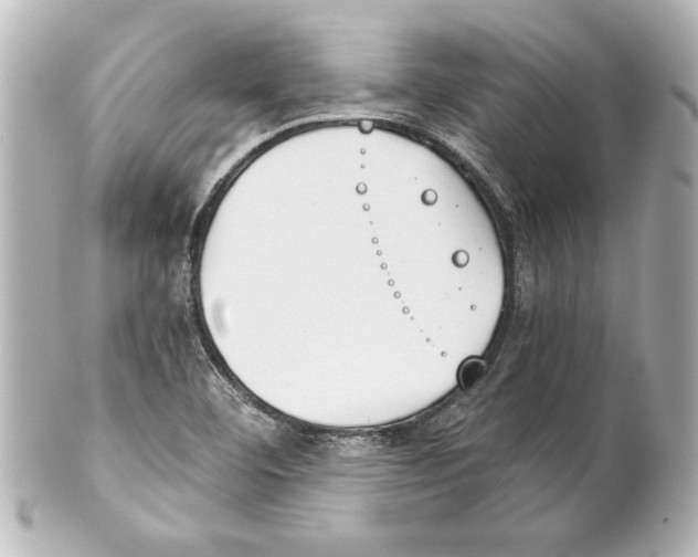 X0000101461460200808041030