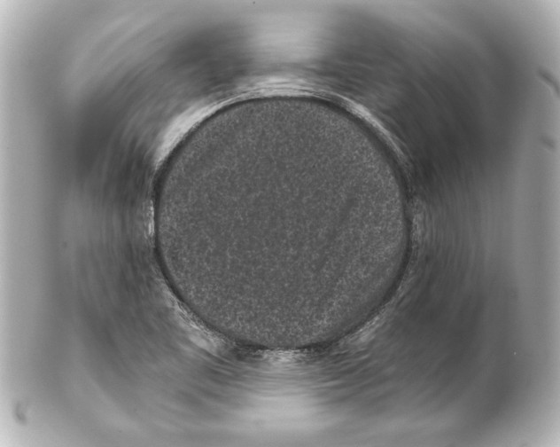 X0000101461461200808041030