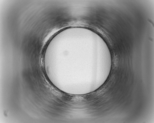 X0000101461462200808041030