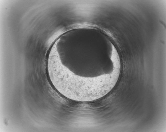 X0000101461463200808041030