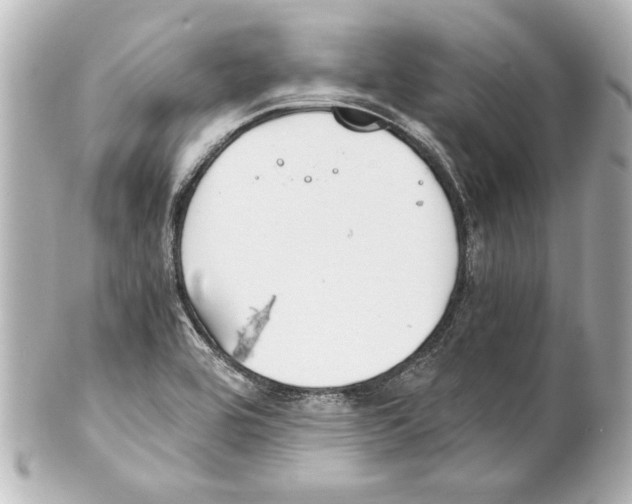 X0000101461464200808041030