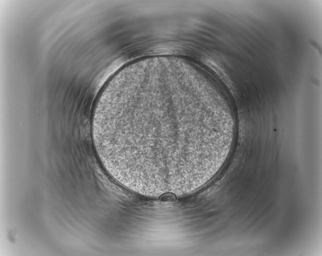 X0000101461465200808041030