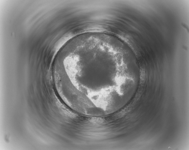 X0000101461466200808041030