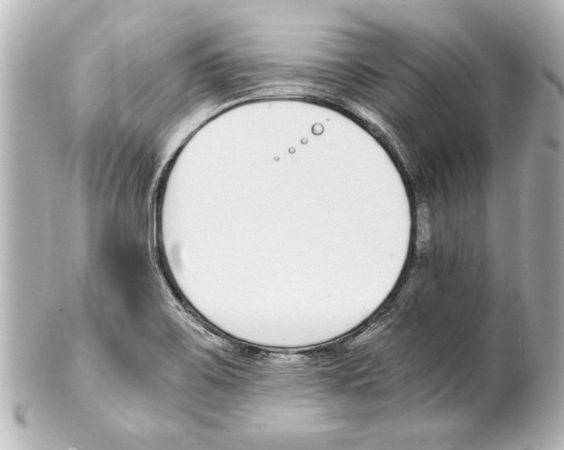 X0000101461467200808041030