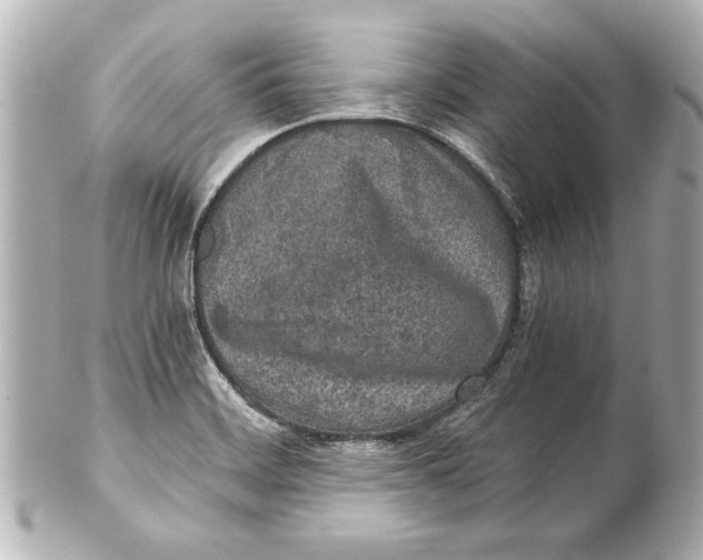 X0000101461468200808041030