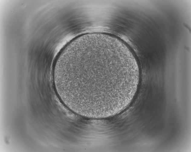 X0000101461469200808041030