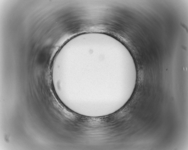 X0000101461470200808041030