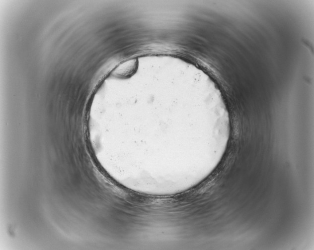 X0000101461471200808041030