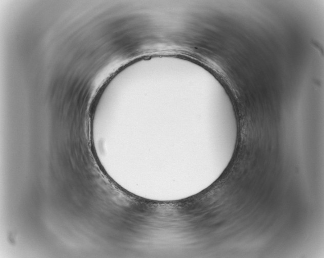 X0000101461472200808041030