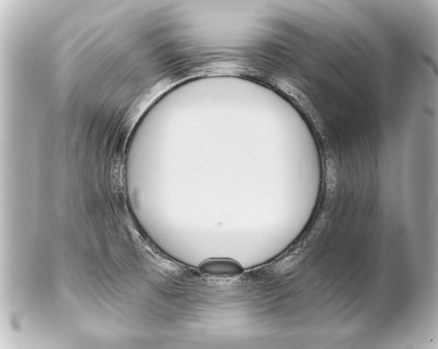 X0000101461473200808041030