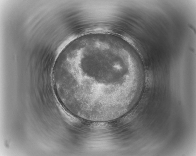 X0000101461474200808041030