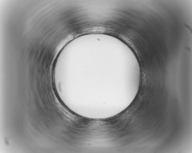 X0000101461475200808041030