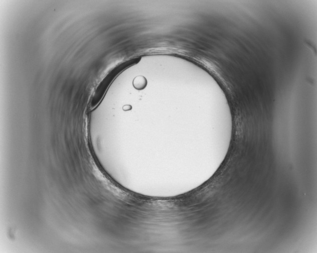 X0000101461476200808041030