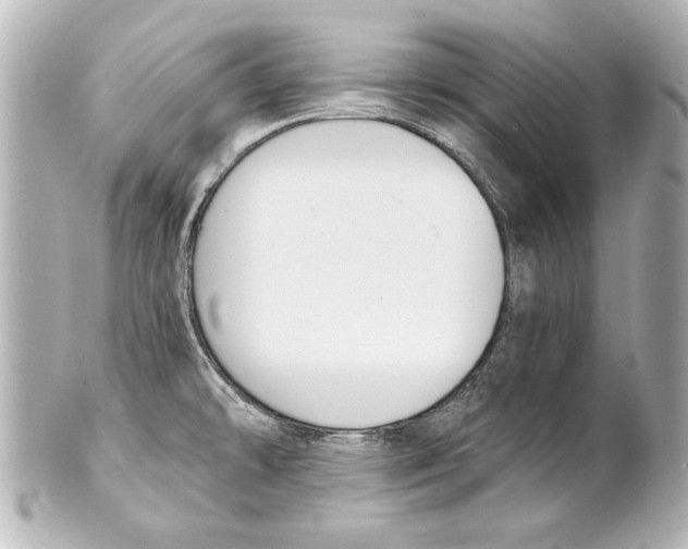 X0000101461478200808041030