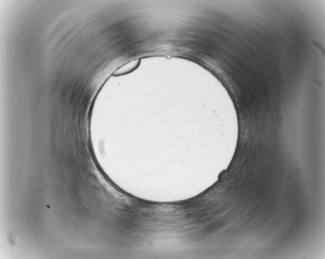 X0000101461479200808041030