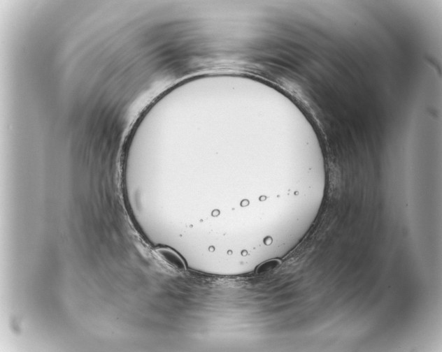 X0000101461480200808041030