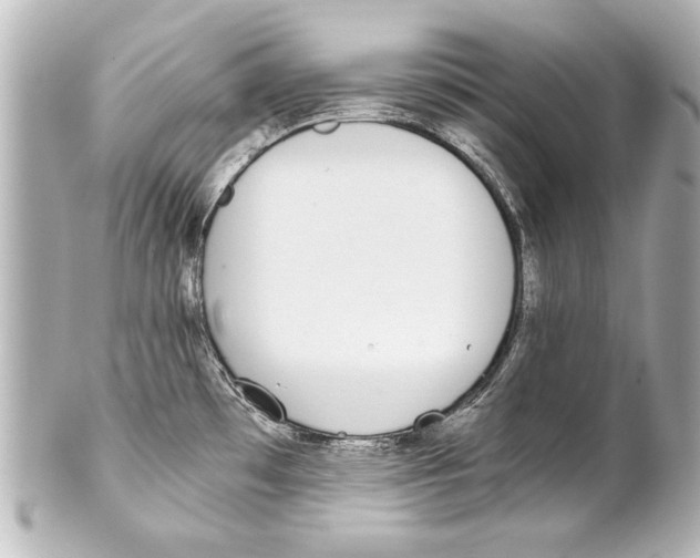 X0000101461481200808041030