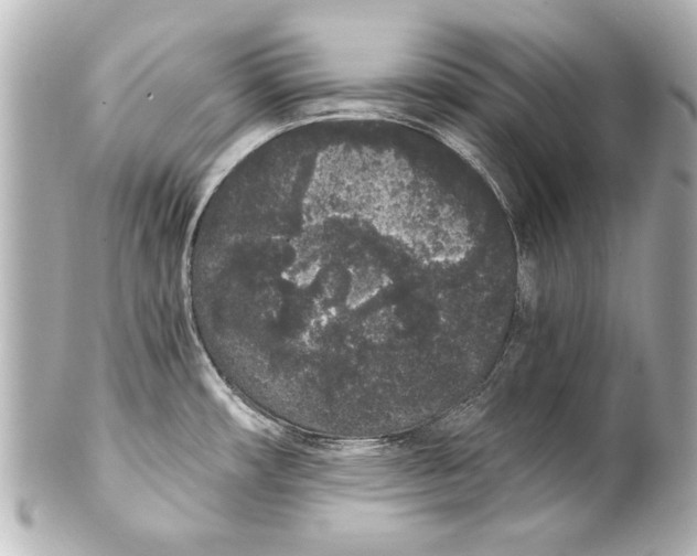 X0000101461482200808041030