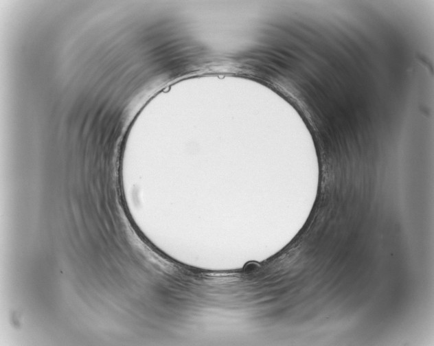 X0000101461483200808041030