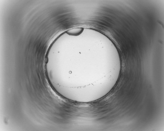 X0000101461484200808041030