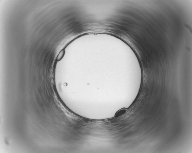 X0000101461485200808041030