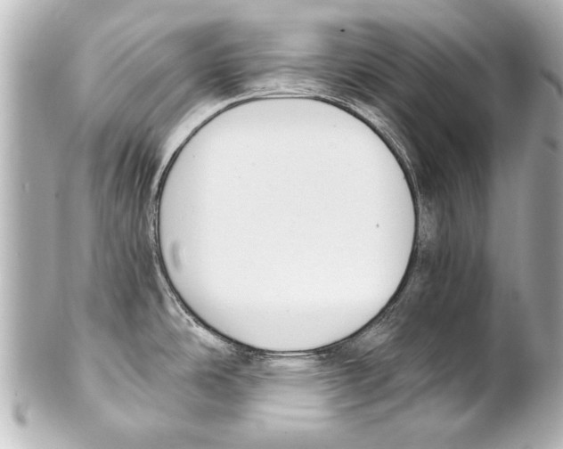 X0000101461486200808041030