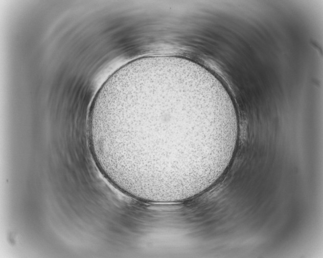 X0000101461487200808041030