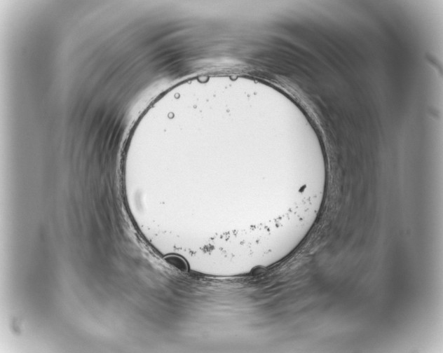 X0000101461488200808041030