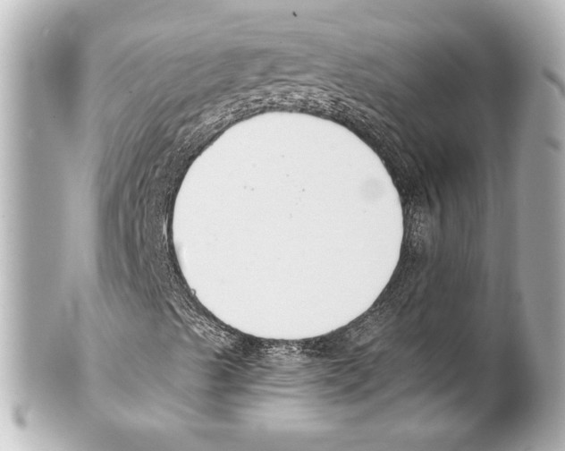 X0000101461489200808041029