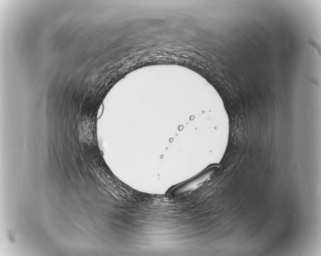 X0000101461490200808041029