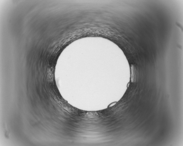 X0000101461491200808041029