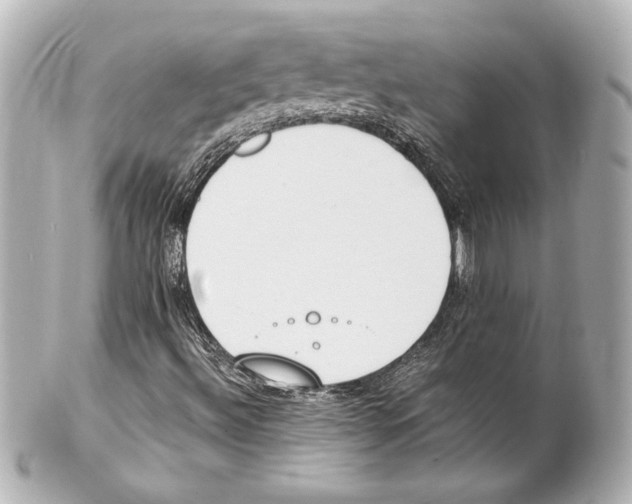 X0000101461492200808041029